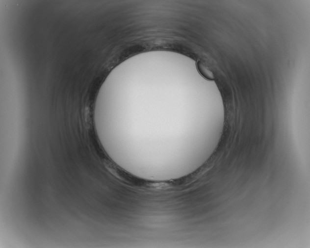 X0000113080087200908280956
