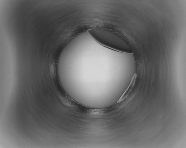 X0000113080088200908280956