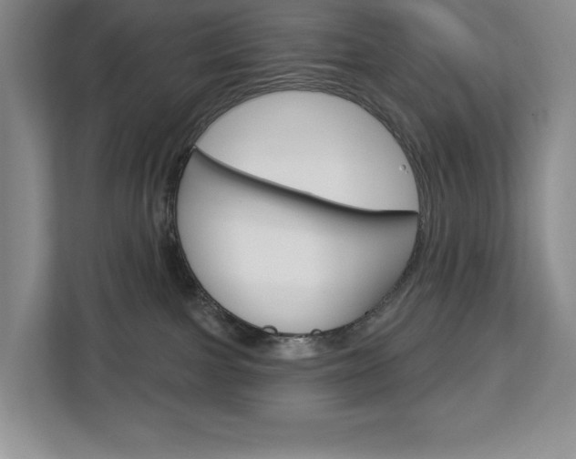 X0000113080091200908280956