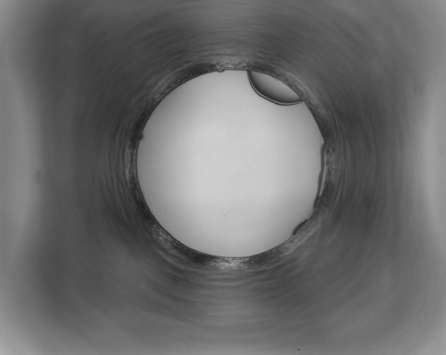 X0000113080093200908280956