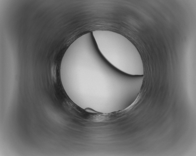 X0000113080094200908280956