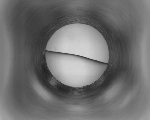 X0000113080095200908280956