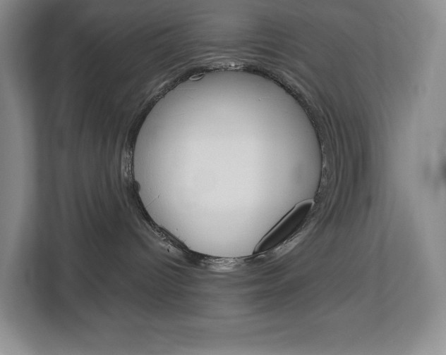 X0000113080096200908280956