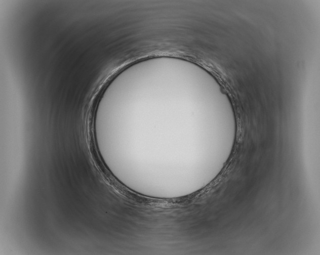 X0000113080098200908280955