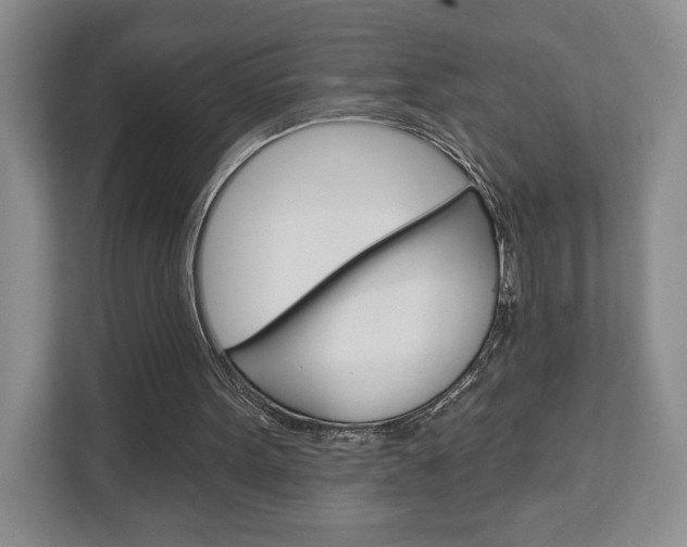 X0000113080099200908280955