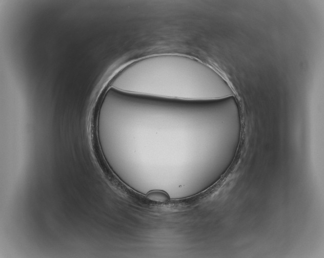 X0000113080103200908280955
