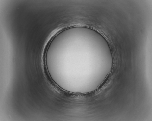 X0000113080104200908280955