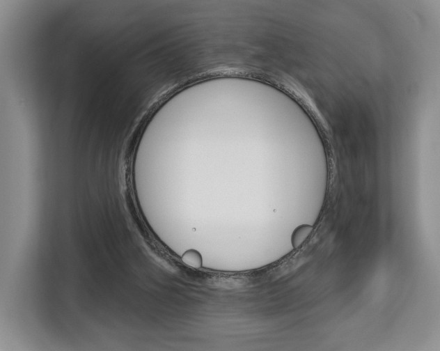 X0000113080106200908280955