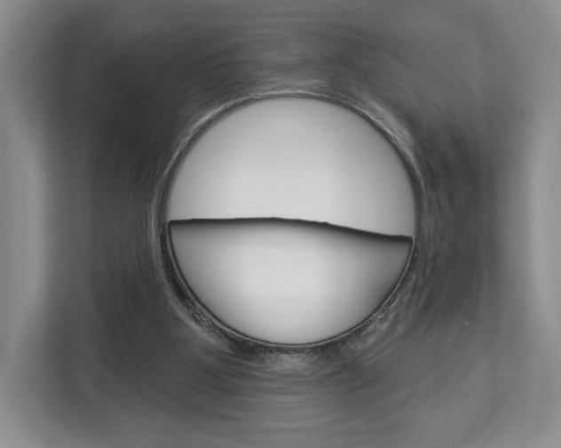 X0000113080107200908280955
