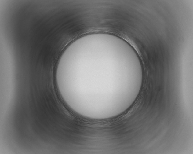 X0000113080109200908280955