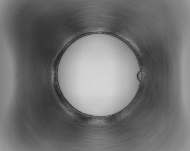 X0000113080110200908280955