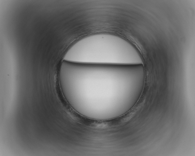 X0000113080113200908280955