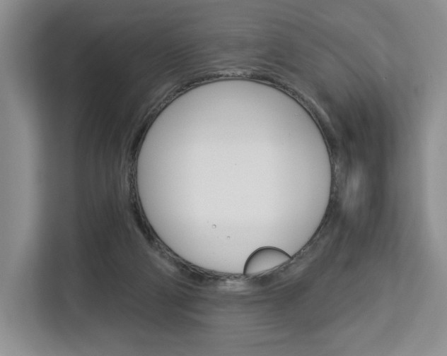 X0000113080114200908280955