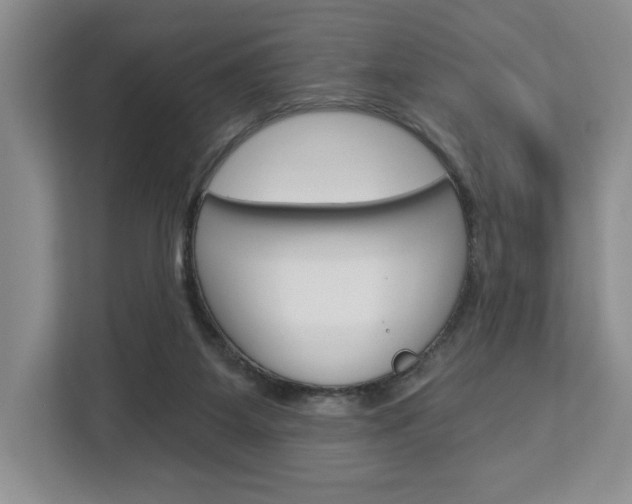 X0000113080115200908280955