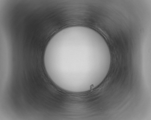 X0000113080117200908280955