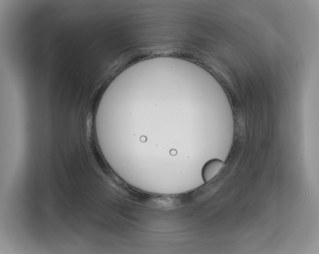 X0000113080118200908280955