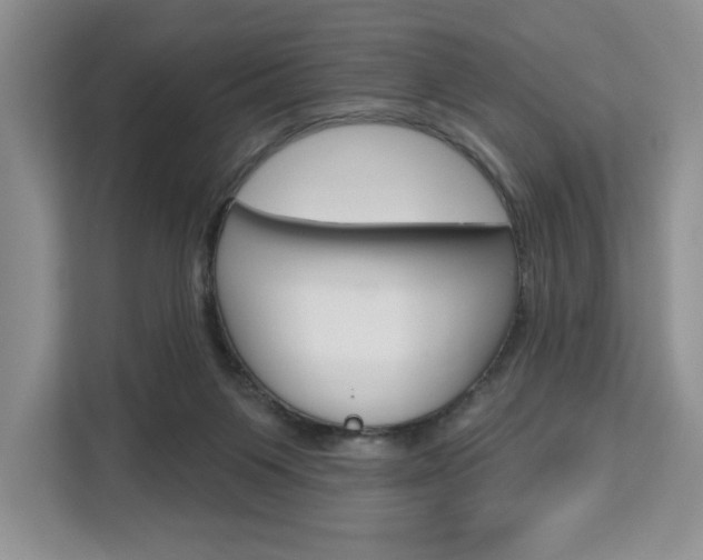 X0000113080119200908280955