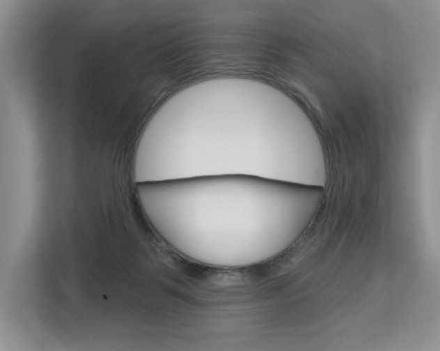 X0000113080123200908280955