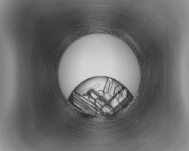 X0000113080124200908280955