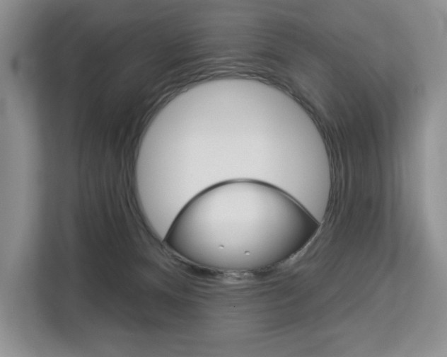 X0000113080128200908280955