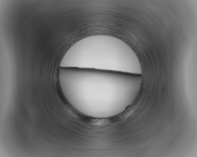 X0000113080135200908280955
