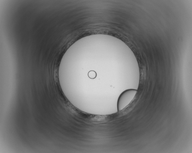 X0000113080138200908280955