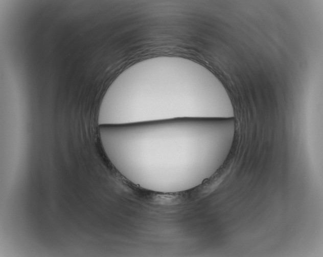 X0000113080139200908280955