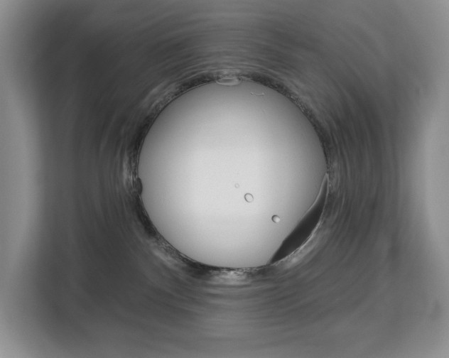 X0000113080140200908280955
