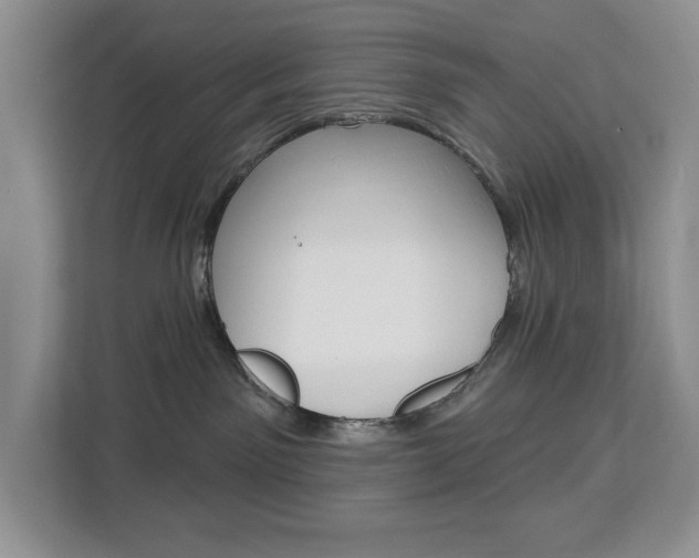 X0000113080141200908280955