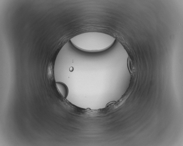 X0000113080143200908280955