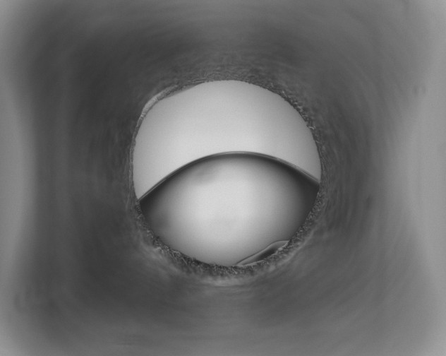 X0000113080144200908280955
