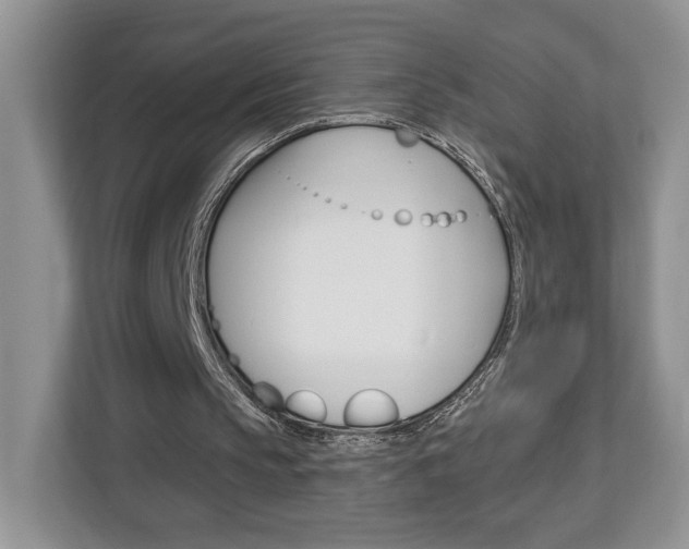 X0000113080145200908280954
