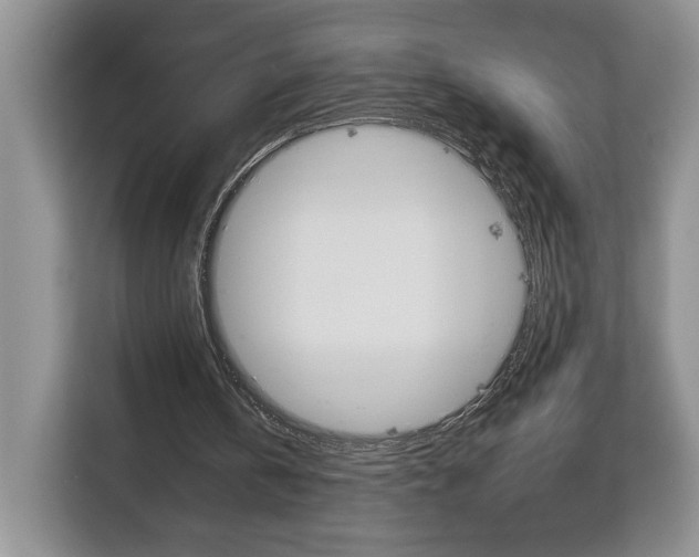 X0000113080146200908280954