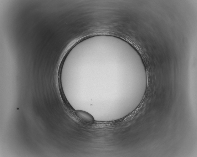 X0000113080147200908280954