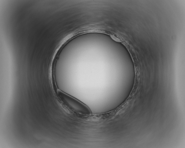 X0000113080148200908280954