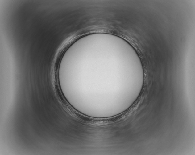 X0000113080149200908280954