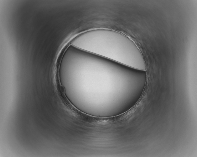 X0000113080152200908280954