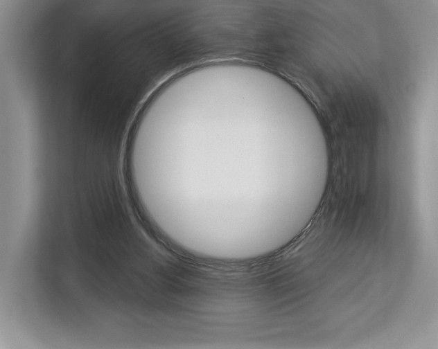 X0000113080156200908280954
