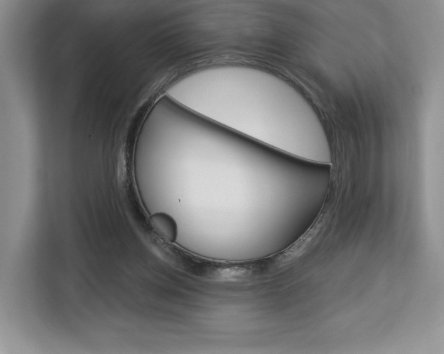 X0000113080158200908280954