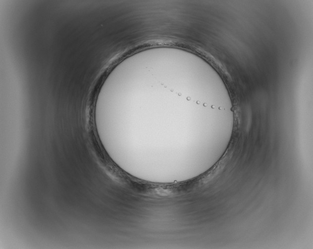 X0000113080159200908280954