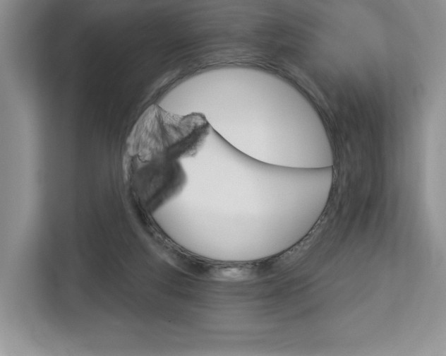 X0000113080163200908280954