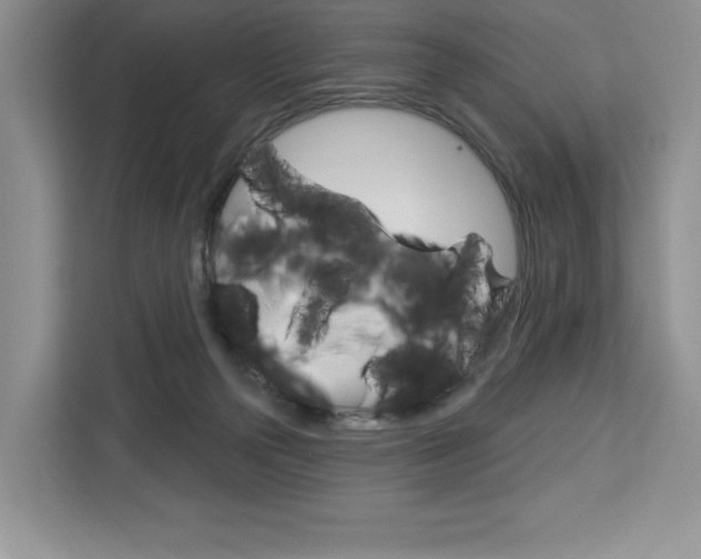 X0000113080169200908280954