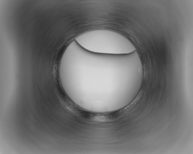 X0000113080171200908280954