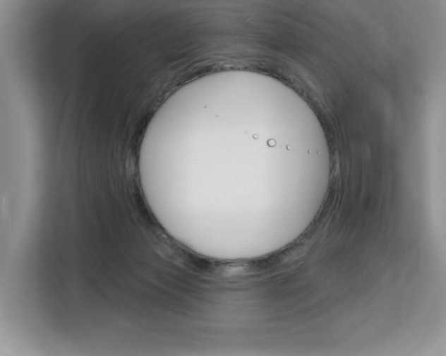 X0000113080173200908280954