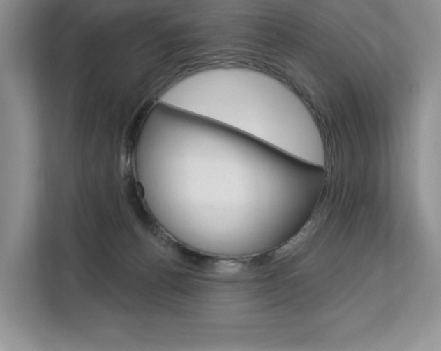 X0000113080176200908280954