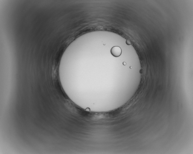 X0000113080177200908280954