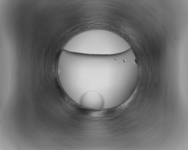 X0000113080178200908280954
