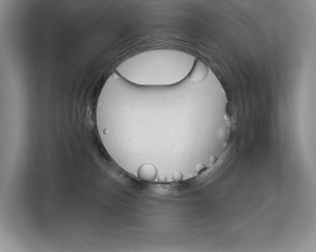 X0000113080187200908280954