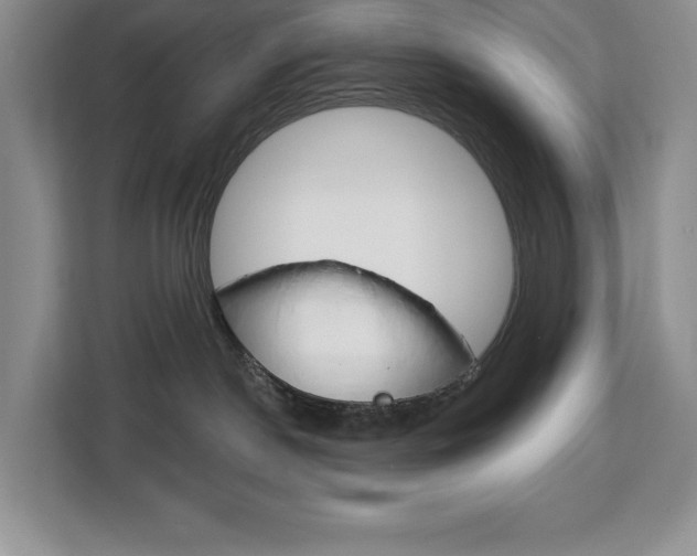 X0000113080190200908280954