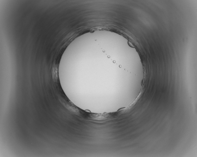 X0000113080191200908280954
